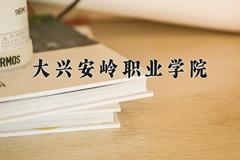 2024年大兴安岭职业学院在陕西计划招生人数（附学费及专业录取分)