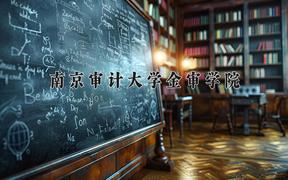 2024年南京审计大学金审学院在陕西计划招生人数（附学费及专业录取分)