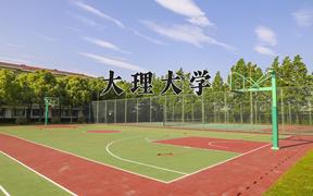 2024年大理大学在陕西计划招生人数（附学费及专业录取分)