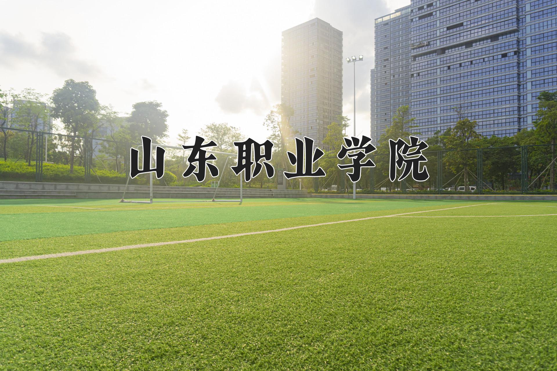 山东职业学院