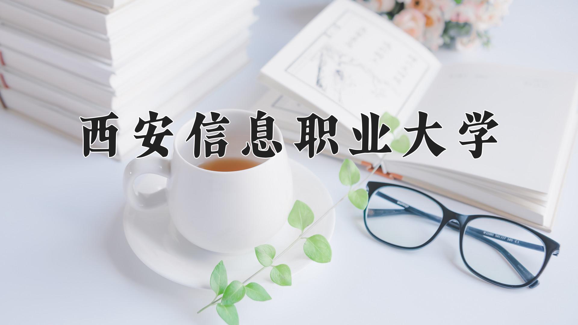 西安信息职业大学