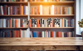 2024年马鞍山学院在陕西计划招生人数（附学费及专业录取分)