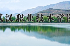 2024年武汉职业技术学院在陕西计划招生人数（附学费及专业录取分)