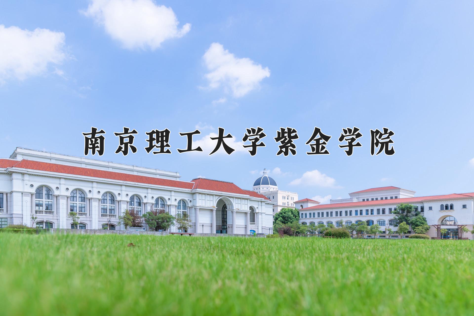 南京理工大学紫金学院