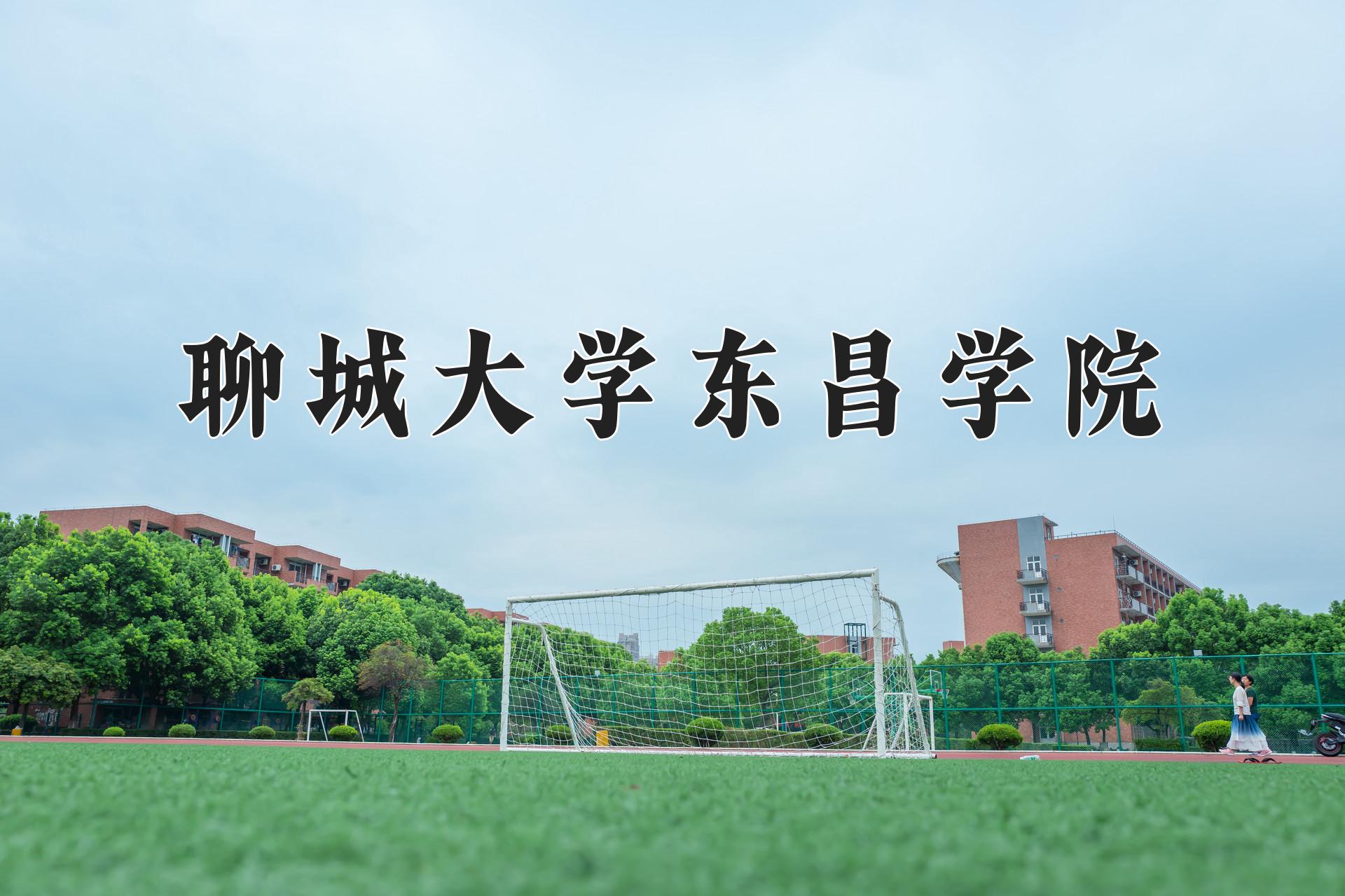 聊城大学东昌学院