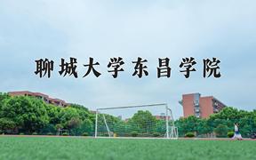 2024年聊城大学东昌学院在陕西计划招生人数（附学费及专业录取分)