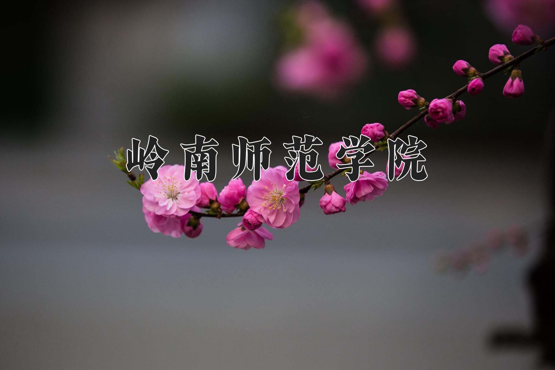 岭南师范学院