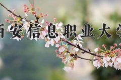 2024年西安信息职业大学在陕西计划招生人数（附学费及专业录取分)