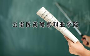 2024年云南医药健康职业学院在陕西计划招生人数（附学费及专业录取分)