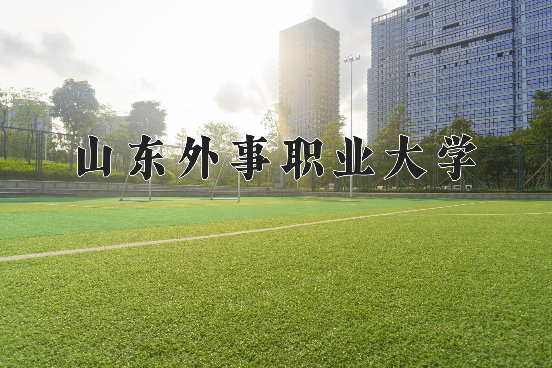 山东外事职业大学