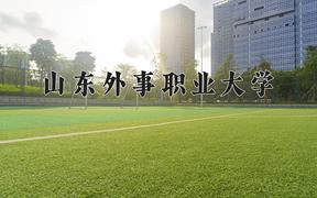 2024年应用法语专业大学排名及录取分数线（2025考生参考）