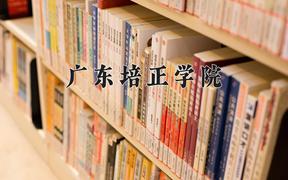 新疆379分能上的大学有哪些？附2025年可以报考的大学名单