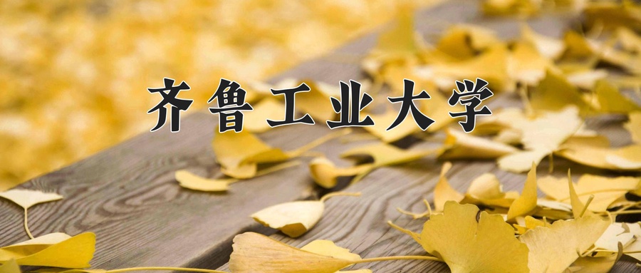 齐鲁工业大学