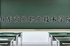 2024山东商业职业技术学院录取分数线：内蒙古最低254分