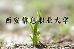 2024西安信息职业大学录取分数线：内蒙古最低236分