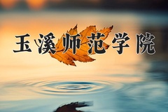 2024玉溪师范学院录取分数线：内蒙古最低369分