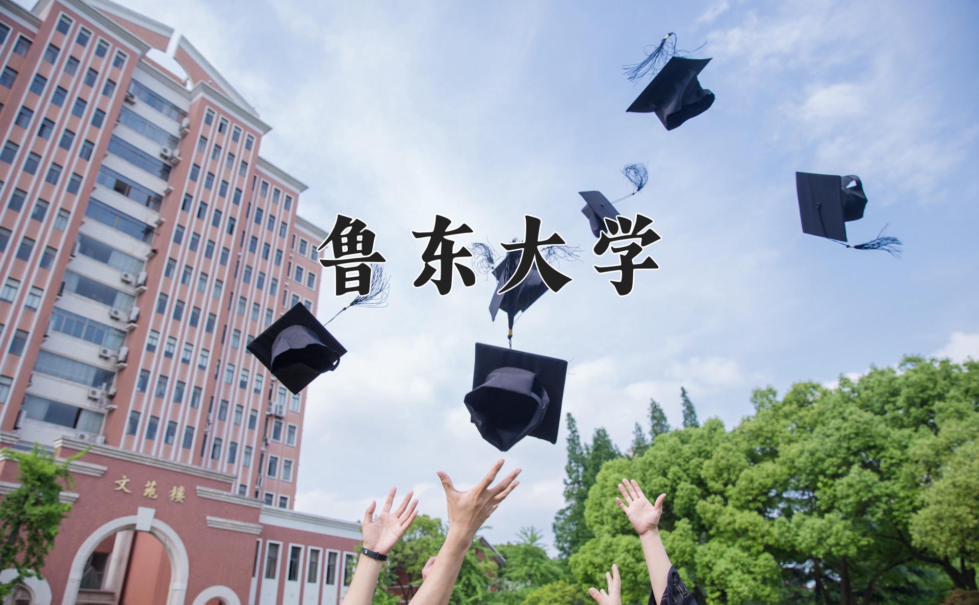 鲁东大学