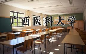 2024广西医科大学录取分数线：内蒙古最低448分