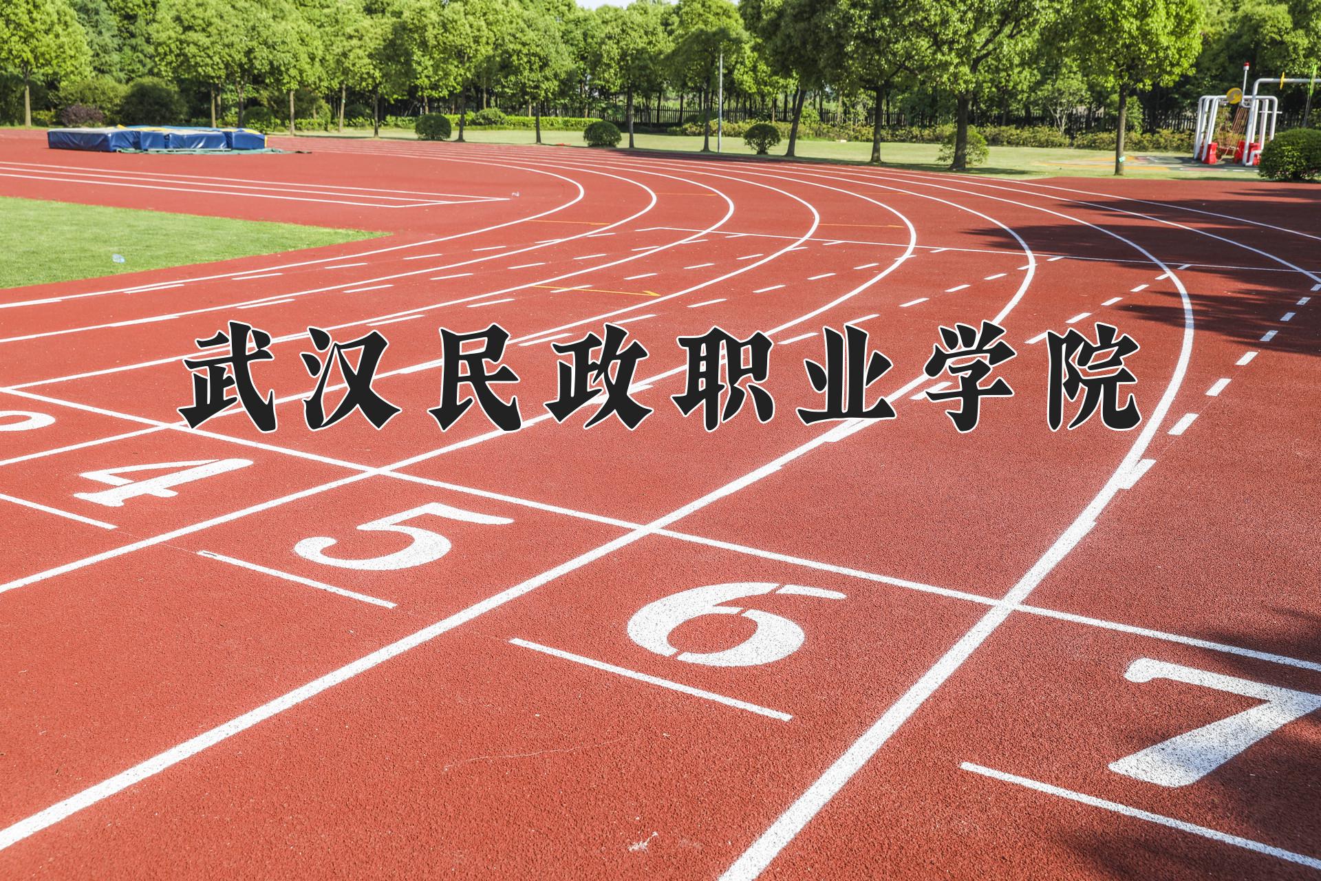 武汉民政职业学院