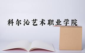 2024科尔沁艺术职业学院录取分数线：内蒙古最低216分