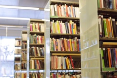 南阳农业职业学院(中外合作)(西班牙马拉加大学)录取分数线(河南2023-2021录取最低分)