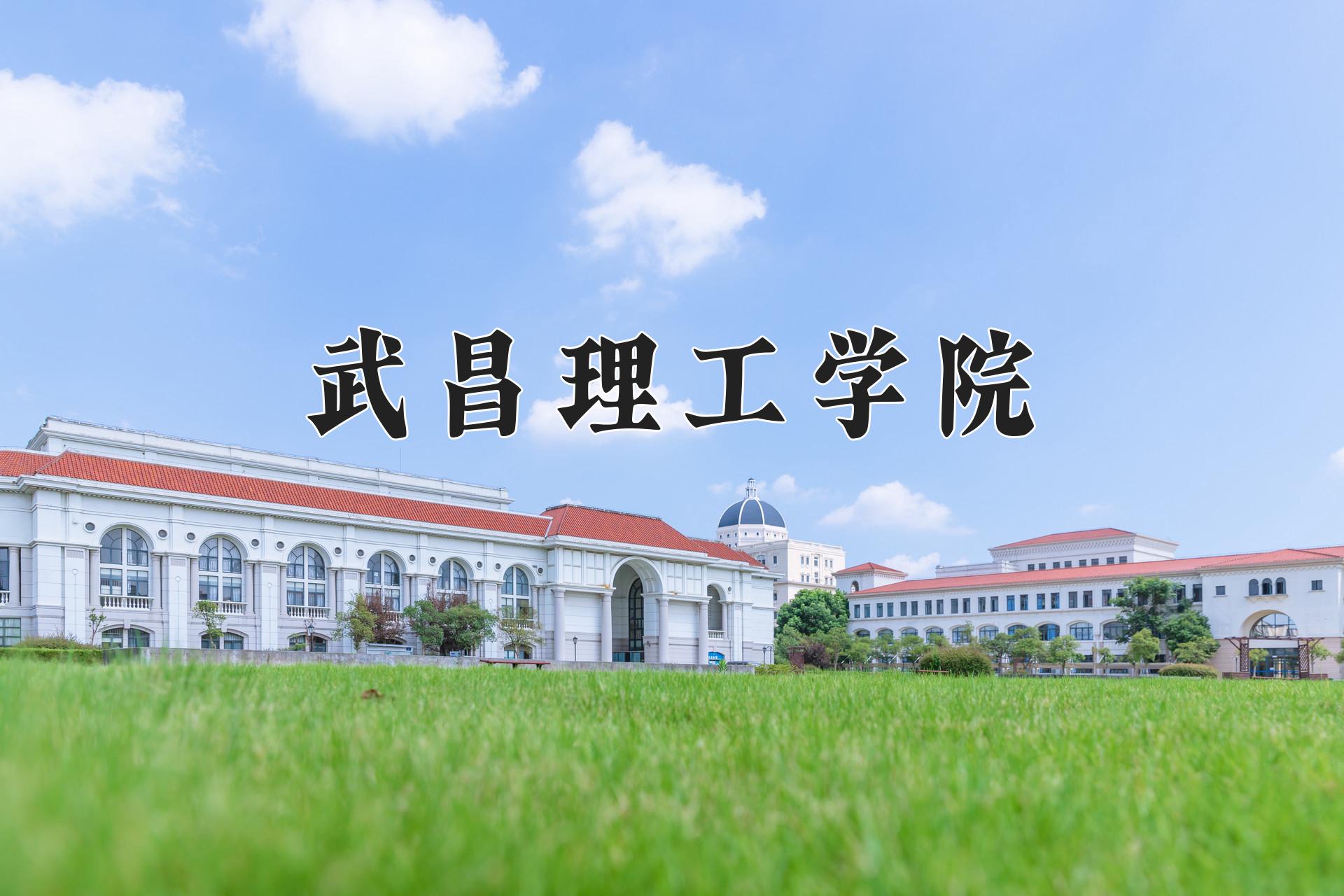 武昌理工学院