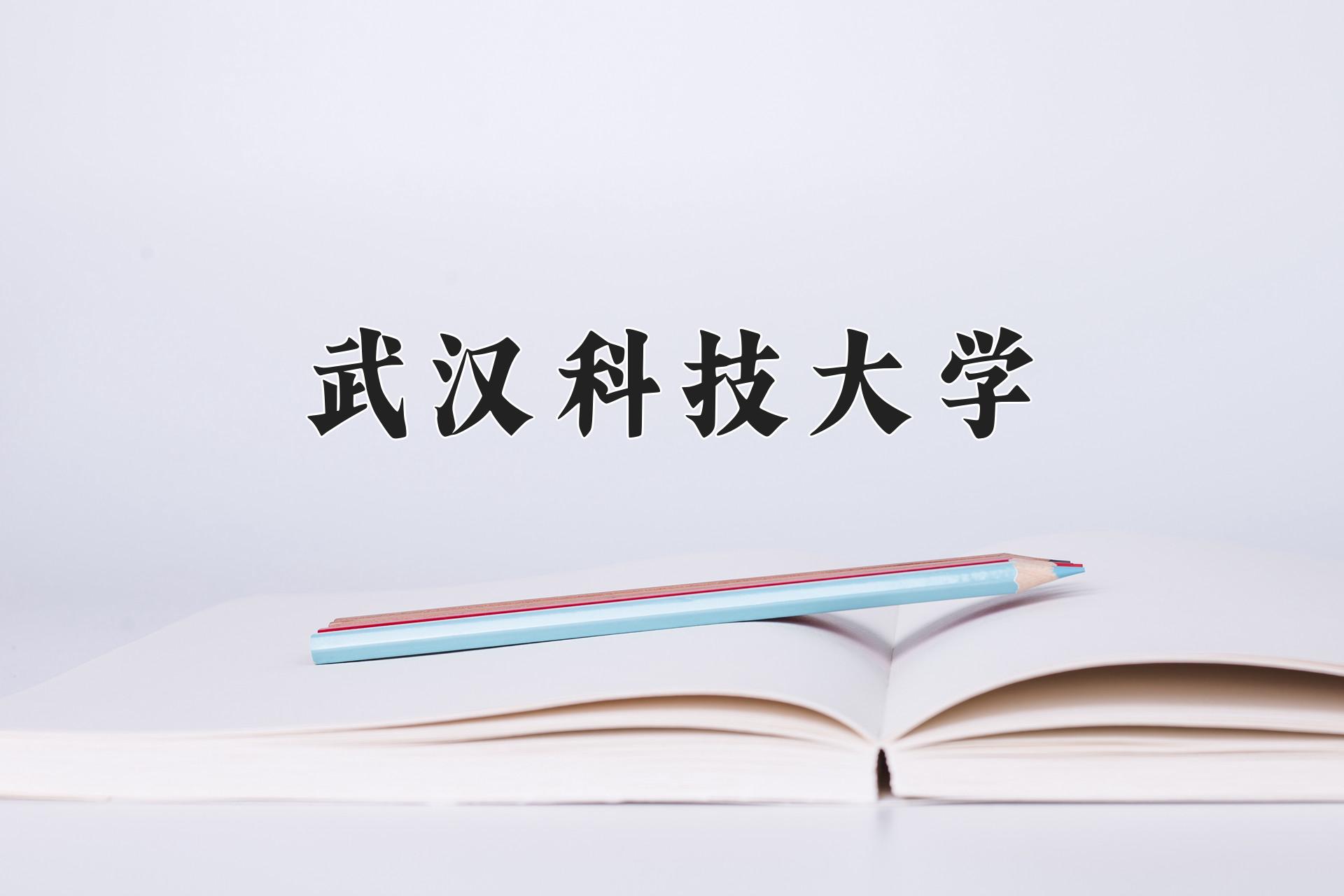 武汉科技大学