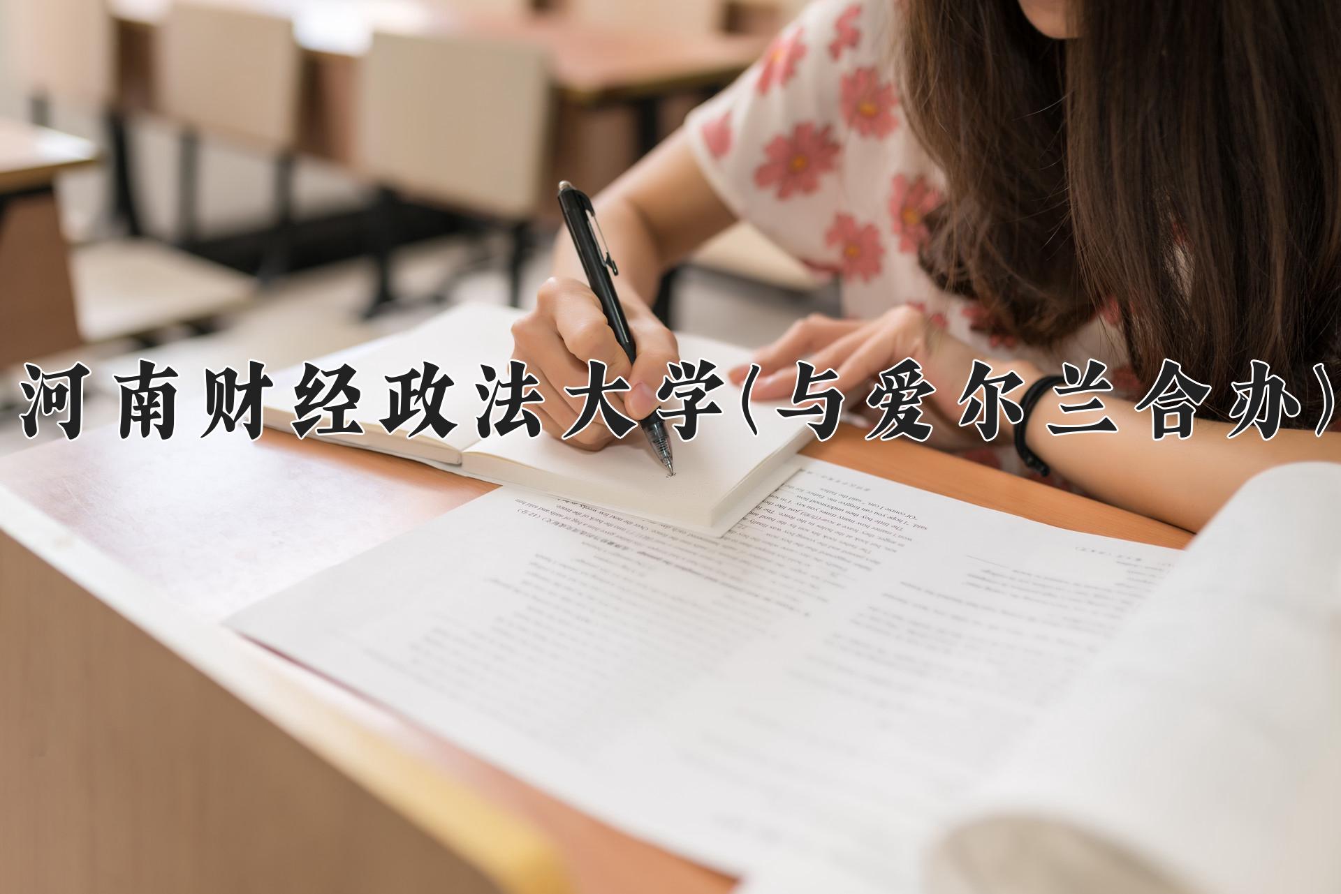 河南财经政法大学(与爱尔兰合办)