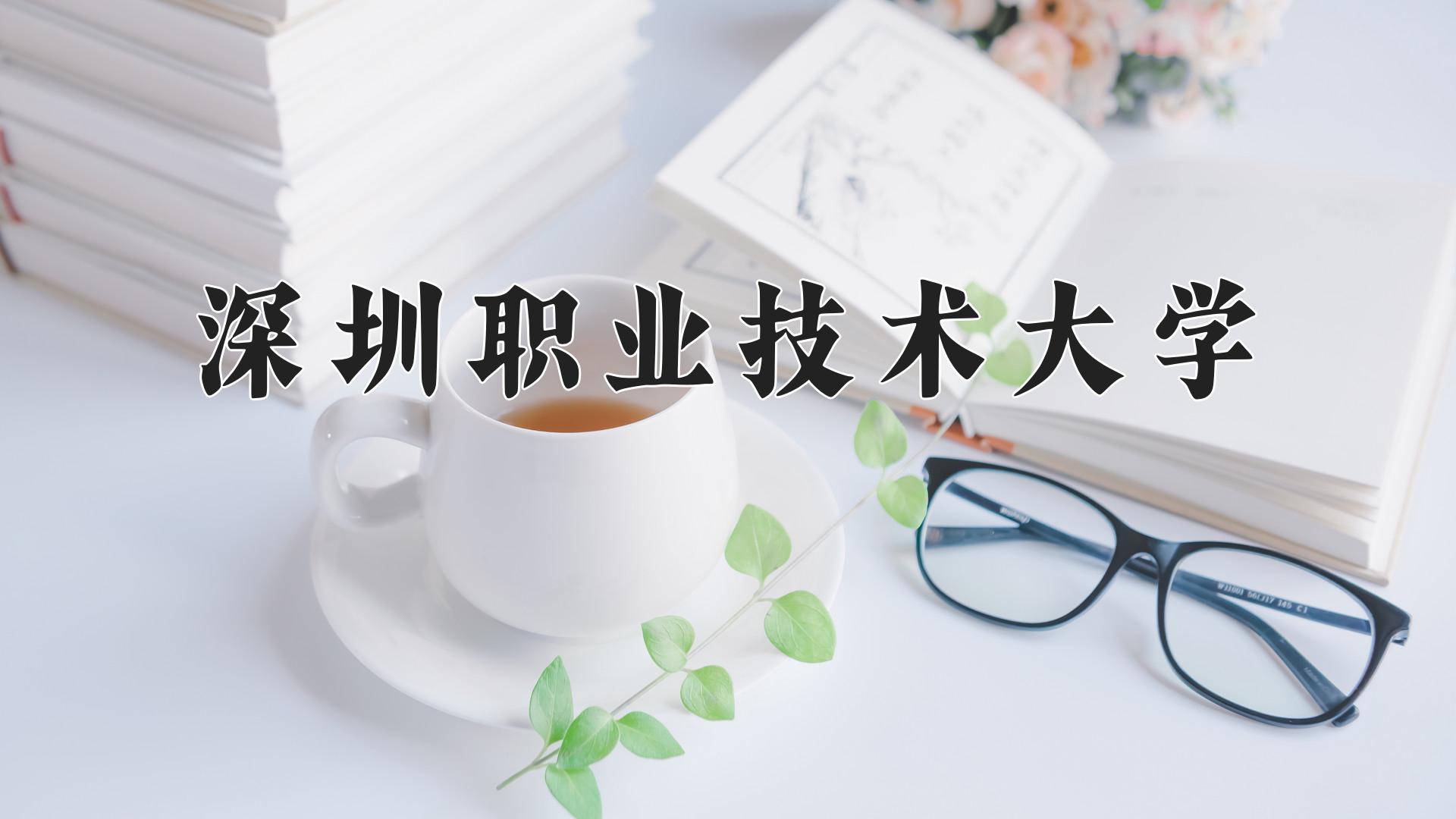 深圳职业技术大学