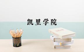 凯里学院近三年在四川录取分数线(含2021-2023最低分)