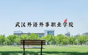 武汉外语外事职业学院近三年在四川录取分数线(含2021-2023最低分)