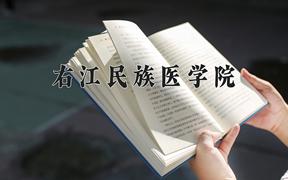 右江民族医学院近三年在四川录取分数线(含2021-2023最低分)