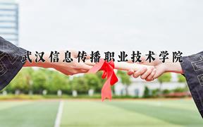 武汉信息传播职业技术学院近三年在四川录取分数线(含2021-2023最低分)