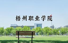 梧州职业学院近三年在四川录取分数线(含2021-2023最低分)