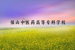 保山中医药高等专科学校近三年在四川录取分数线(含2021-2023最低分)