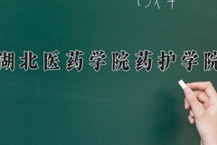 湖北医药学院药护学院近三年在四川录取分数线(含2021-2023最低分)