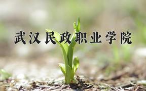 武汉民政职业学院近三年在四川录取分数线(含2021-2023最低分)