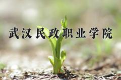 武汉民政职业学院近三年在四川录取分数线(含2021-2023最低分)