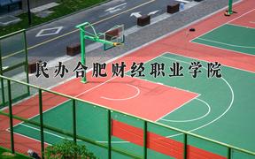 民办合肥财经职业学院近三年在四川录取分数线(含2021-2023最低分)