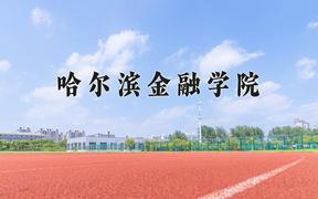 哈尔滨金融学院近三年在四川录取分数线(含2021-2023最低分)