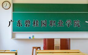 广东碧桂园职业学院近三年在四川录取分数线(含2021-2023最低分)