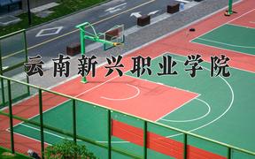 云南新兴职业学院近三年在四川录取分数线(含2021-2023最低分)