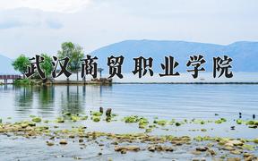 武汉商贸职业学院近三年在四川录取分数线(含2021-2023最低分)