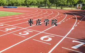 枣庄学院近三年在四川录取分数线(含2021-2023最低分)