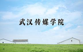 武汉传媒学院近三年在四川录取分数线(含2021-2023最低分)