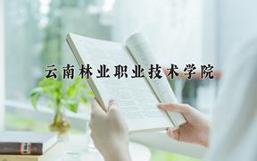 云南林业职业技术学院近三年在四川录取分数线(含2021-2023最低分)