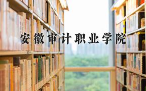 安徽审计职业学院近三年在四川录取分数线(含2021-2023最低分)