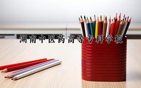 湖南中医药高等专科学校近三年在四川录取分数线(含2021-2023最低分)