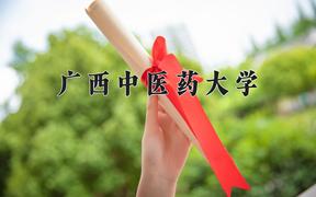 广西中医药大学近三年在四川录取分数线(含2021-2023最低分)