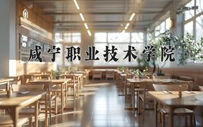 咸宁职业技术学院近三年在四川录取分数线(含2021-2023最低分)